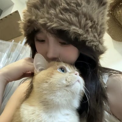 鲨鱼宝宝成长记