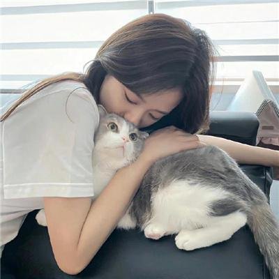 光合计划